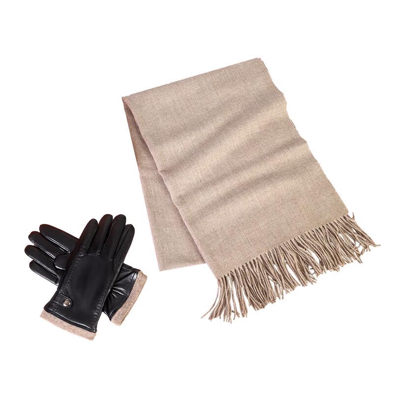 Aisiyalan Men's Scarf & Glove Set