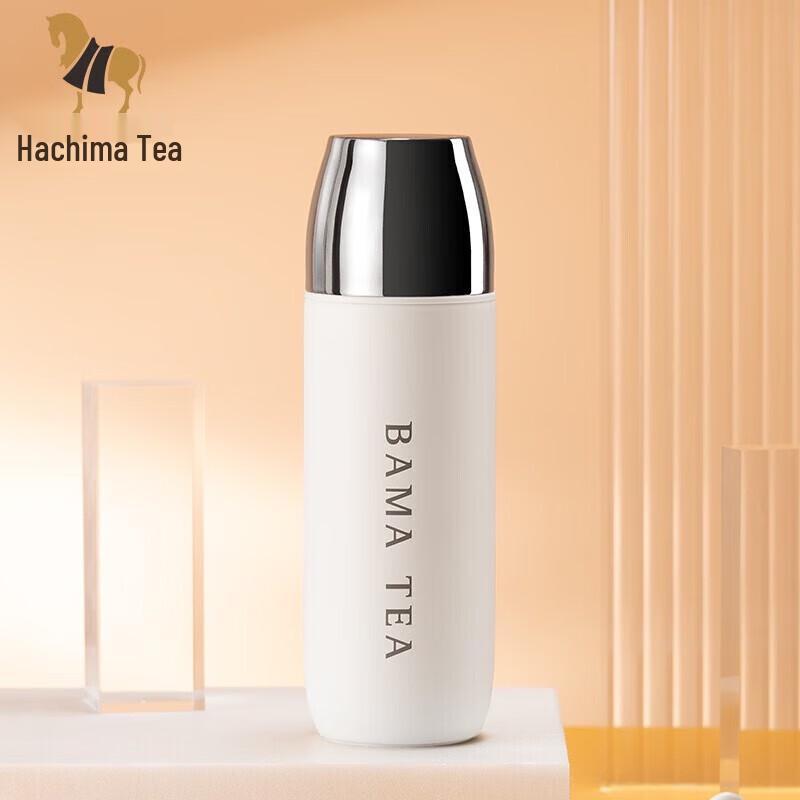 Portable Stainless Steel Tea Infuser Thermos Mug
