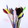 50pcs Natural Goose Feathers Crafts Earring Accessories Plumes 15-20cm Pretty Multicolor Swan Feather for Jewelry Decoration