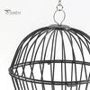 Hanging Chicken Feeder Hamster Rabbit Treat Ball Vegetable String Ball Poultry Fruit Holder with Adjustable Height Stainless Steel Chain Easy