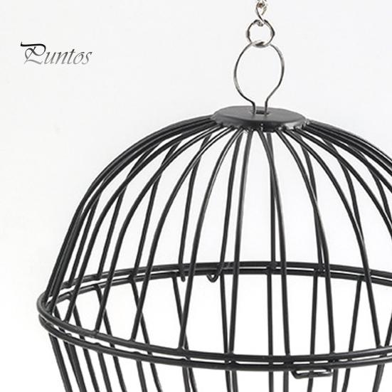 Hanging Chicken Feeder Hamster Rabbit Treat Ball Vegetable String Ball Poultry Fruit Holder with Adjustable Height Stainless Steel Chain Easy