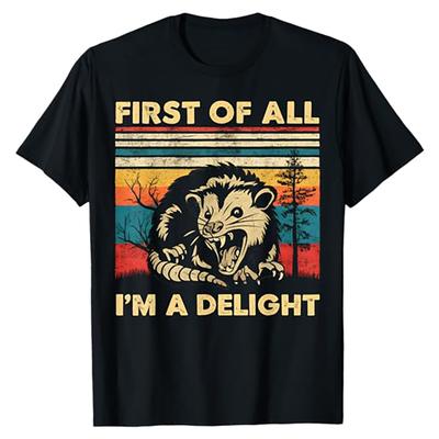 Primeiro de Tudo Sou um Gambá Delicioso Sarcástico Zangado Gambá Camiseta Roupa Moda Camiseta Masculina Oversized Feminina Gola Redonda 01336