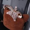 Simulations-Flugtier Baumwollpuppe Kuscheltier Australisches Gleithörnchen Puppe Geburtstag