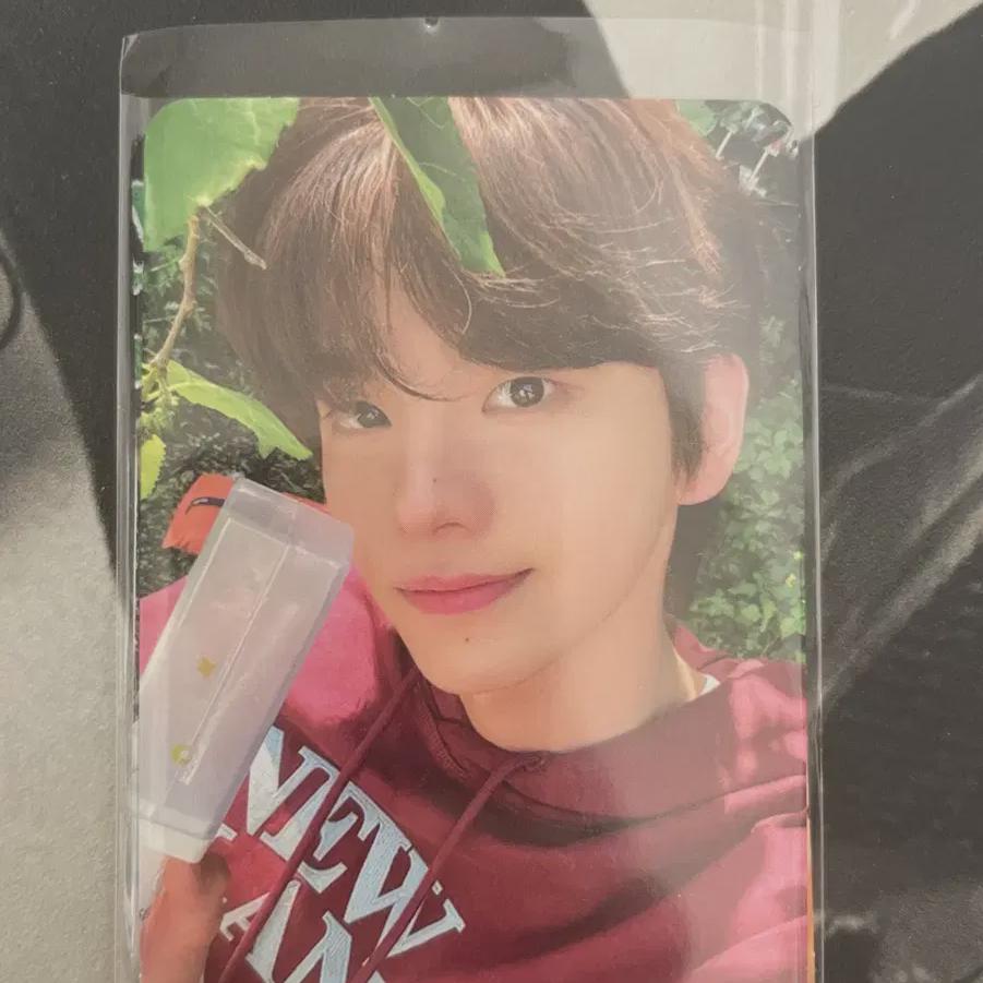 

Tours Concert Shinyu Photocard