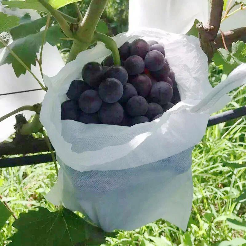 50pcs Grape bagging Non-woven fabric Insect control Bird prevention Rainproof Fruit specific bags Protective bag