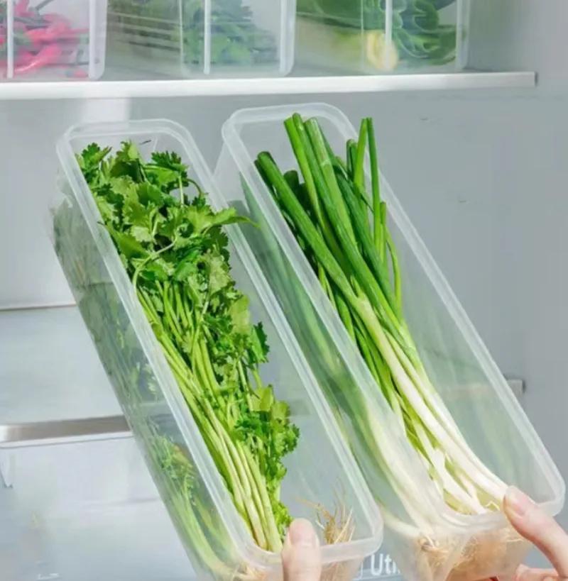 Refrigerator Fresh-keeping Organizer Boxes Vegetable Fruit Fresh-keeping Food Preservation Boxes Transparent Sealed Storage Box