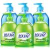 Blue Moon Aloe & Wild Chrysanthemum Hand Wash Combo