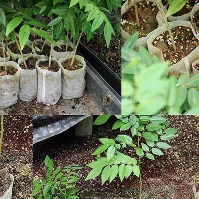 8x10cm 100st Biologiskt nedbrytbara fröodlingspåsar, Icke-vävda odlingspåsar för växter, Plantpåse av tyg, Trädgårdsförnödenheter för hemmet