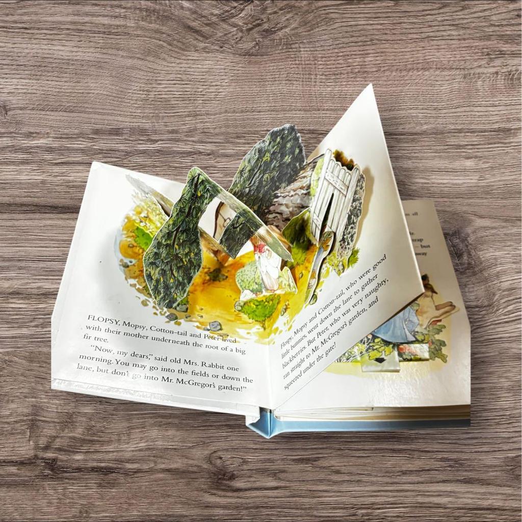 [USED] Peter Rabbit Pop Up Book (mini)