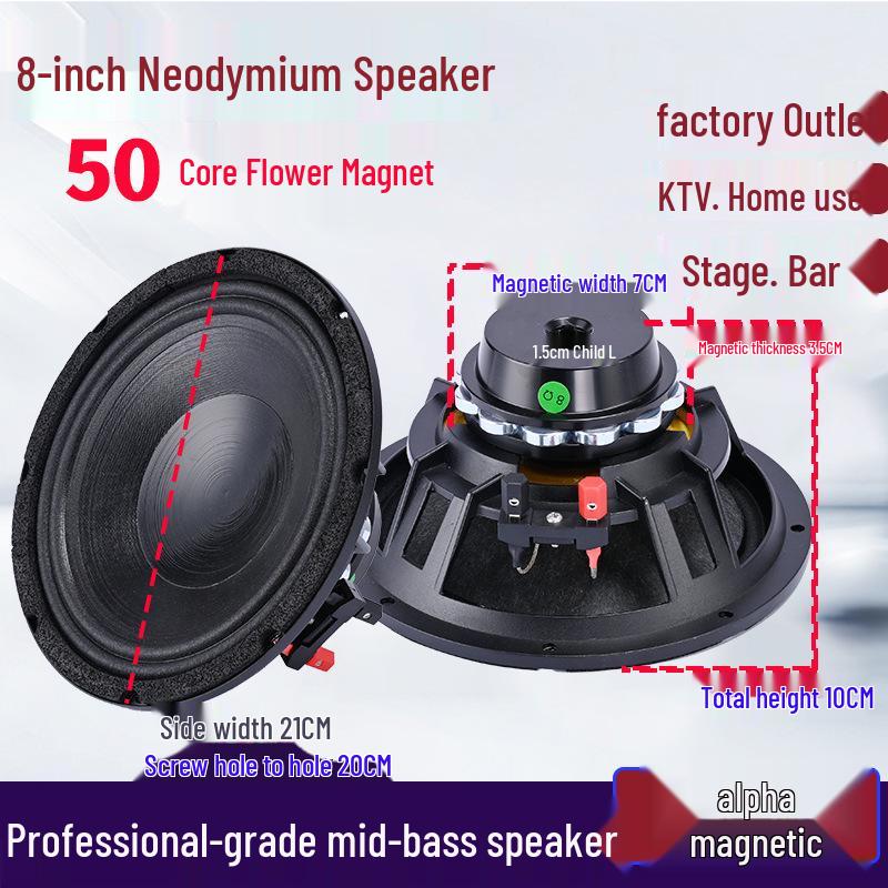 6.5-21 inch High-Power Mid-Bass Pro Stage Speaker with Neodymium Magnet
