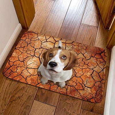 3D Flannel Printed Cute Pug Dog Entrance Doormat Floor Carpet Bathroom Bedroom Door Mat Bedside Rug Home Decor Kitchen Balcony