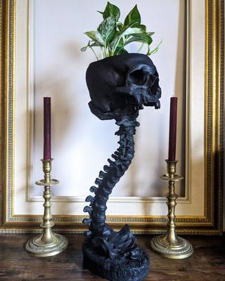 Boligdekorationer – Dekorative blomsterpotter