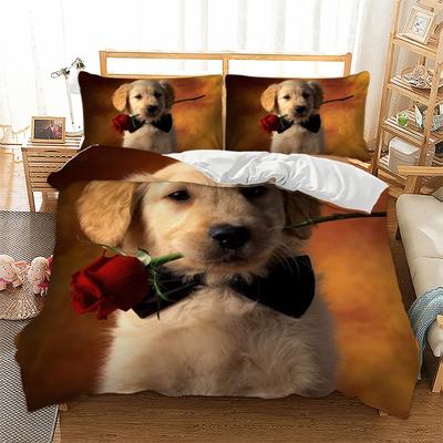 Biancheria da letto – Completi lenzuola e set da letto