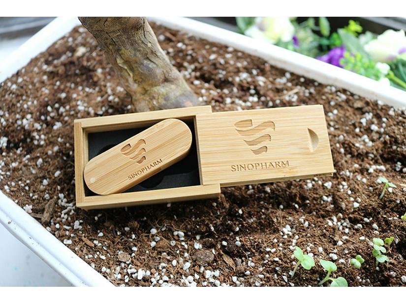 Bamboo & Wood 32GB USB Flash Drive with Custom Logo - Perfect for Graduation Souvenirs & Promotional Gifts