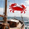 2D Flat - 2D Flat - 1pc Piece Flag 2D Spring Vibrant Red Crab Silhouette with Cracked Texture National Flag Multi-Sizes Suitable for Outdoor Decor, Ya