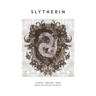 Принт Слизерина