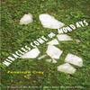 Miracles Come On Mondays by Penelope Cray Paperback Book 9780807173008