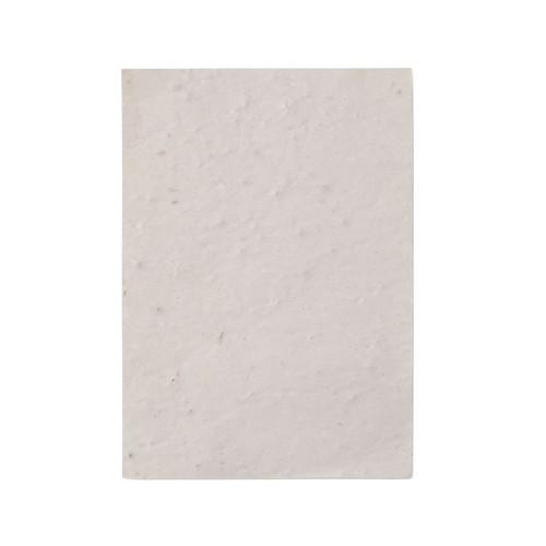 MidOcean Asido Wildflower Seed Paper