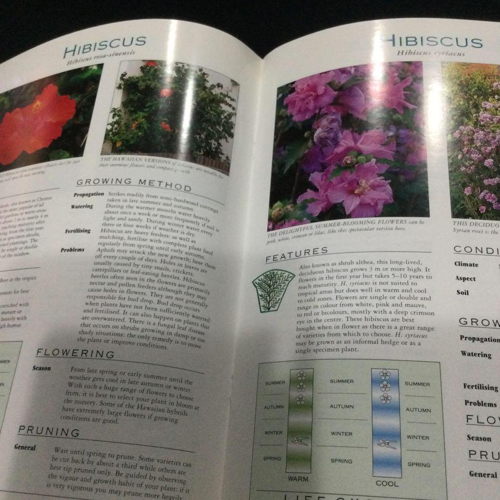 [USED] Flowers, plants, foreign books, illustrated guidebooks, guidebooks, Flowering shrubs
