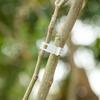10 Set Plants Hooks & Clips Climbing Plant Hooks with 10M Rope Plant Hanging Hook Versatile for Garden Plant Flower