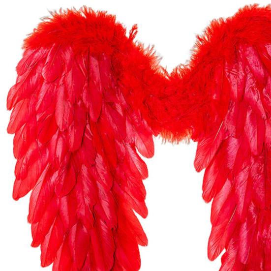 Yousheng Angel Wings for Kids Girls Fairy Feather Wings Costume Fancy Party Dress Up Accessories for Halloween Cosplay Party