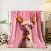 Stylish Sphynx Cat Blanket for All Seasons Blanket Lunch Break Throw Gift