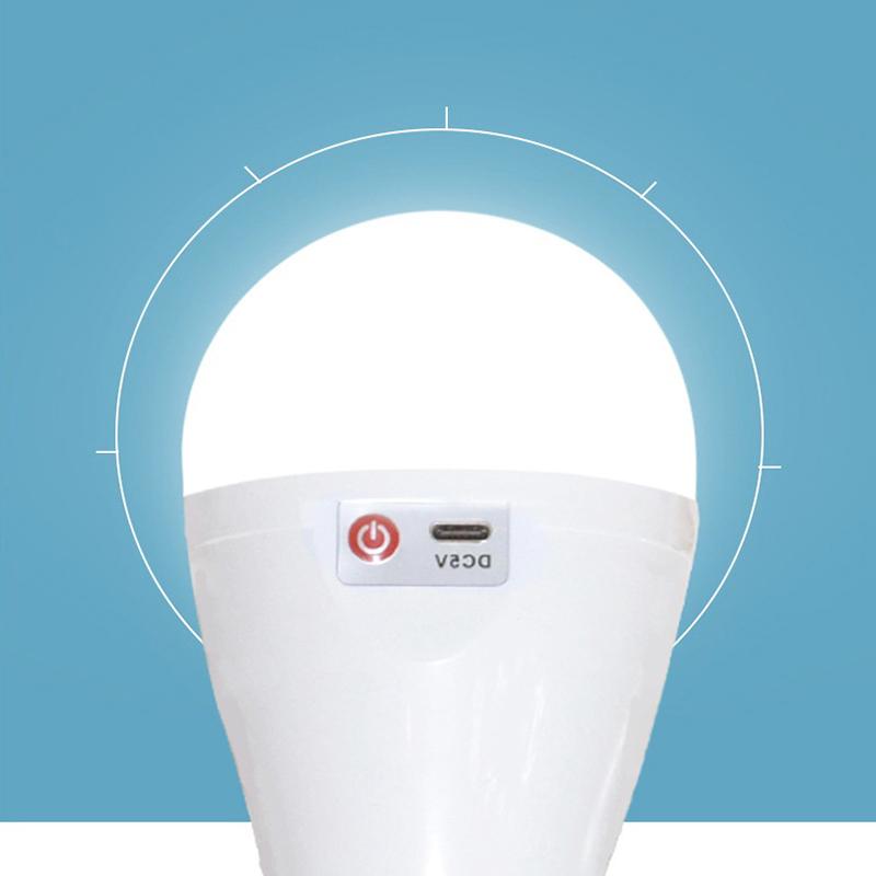 Flicker-Free Led Bulb Light Portable 20W 30W Emergency Bulb Courtyard Outdoor Bulb Power Failure Emergency