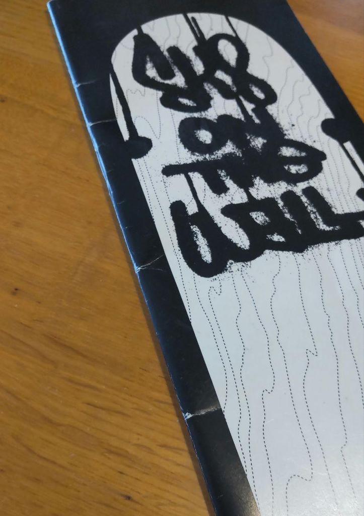 [UŻYWANY] sk8 on the wall / katalog i naklejka