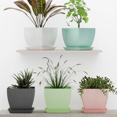 Pots de fleurs, bacs et jardinières – Pots pour semis