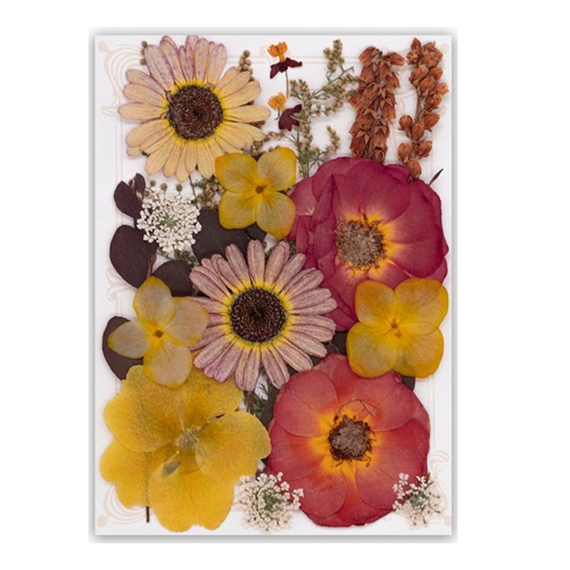 Natural Pressed Dried Flower For Epoxy Resin Dry Flowers and Leaves Set for Soap Candle Jewelry Making Scrapbooking