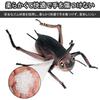 Insect Models & Figurines Set (2459 Pieces) - Realistic Resin Insect Toys, Mini Animal Figurines, Popular Animal Models, Ornaments, Gifts, Kids Toys,