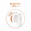 Combi Teteo teteo First time tooth brushing Baby toothbrush STEP4 When the molars come in Sora color (Blue)