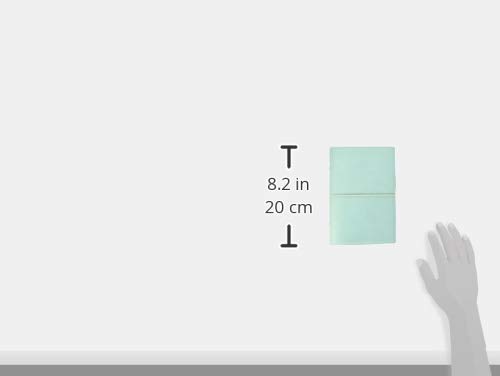 Filofax Domino Bibelplaner, Perlmutt Minze, 022579, Offiziell importiert