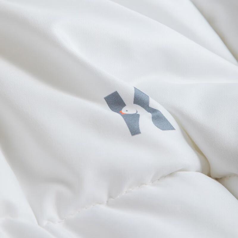 Muji Nano Pearl Fiber Winter Duvet