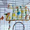 Fashion Pet Bird Parrot Cages Warm Hammock Hut Tent Bed Hanging Cave for Sleeping Small Bird Cage Accessories Bird House