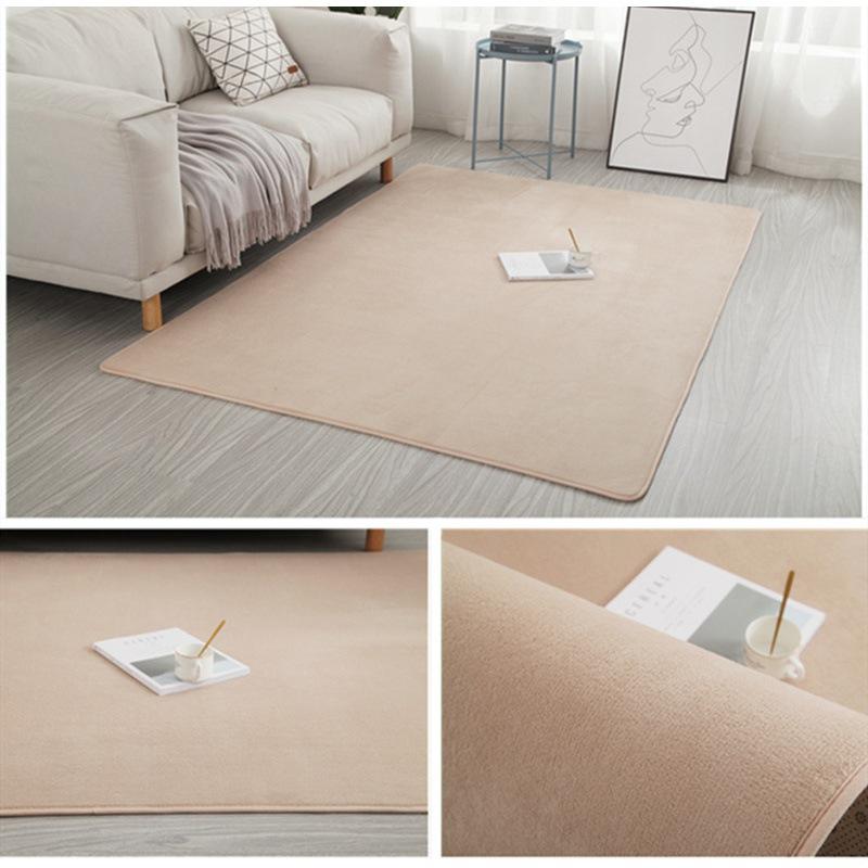 2025 Carpet Living Room Simple Modern Bedroom Plush Carpet Nordic Tatami Carpet
