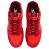 Nike Dunk Low GORE-TEX Crimson Unisex Tenisky Red Light-Crimson Light-Iron-Ore HQ2053-800