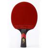 Table Tennis Racket Professional-Level Single Racket 7-Ply Poplar Wood Semi-Carbon Base Star High-Elastic Sticky Double-Sided