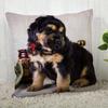 Niedliches Tibet Mastiff Welpen Muster Kissenbezug Muster Kissenbezug Geeignet für Sofa Schlafzimmer Auto Kissenbezug