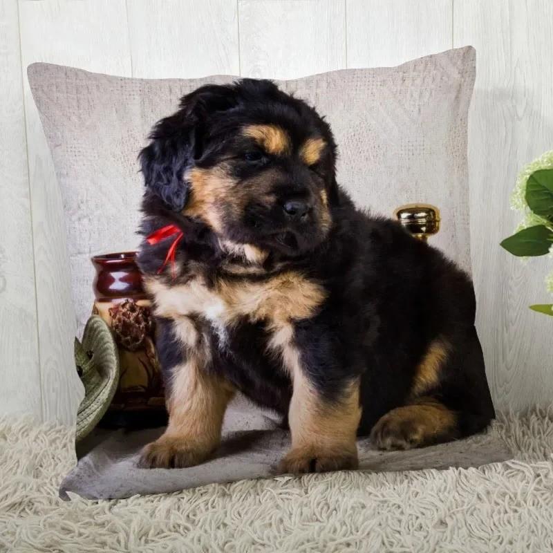 Niedliches Tibet Mastiff Welpen Muster Kissenbezug Muster Kissenbezug Geeignet für Sofa Schlafzimmer Auto Kissenbezug