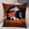 Printed Pet Animal Cushion Cover Scotland Border Collie Soft Plush Pillowcase Decor Cute Dog Pillow Case for Sofa Car