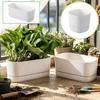 Plastic Self Watering Flower Pot Drainage Hole Desktop Vase Self Watering Planter  Indoor Plants