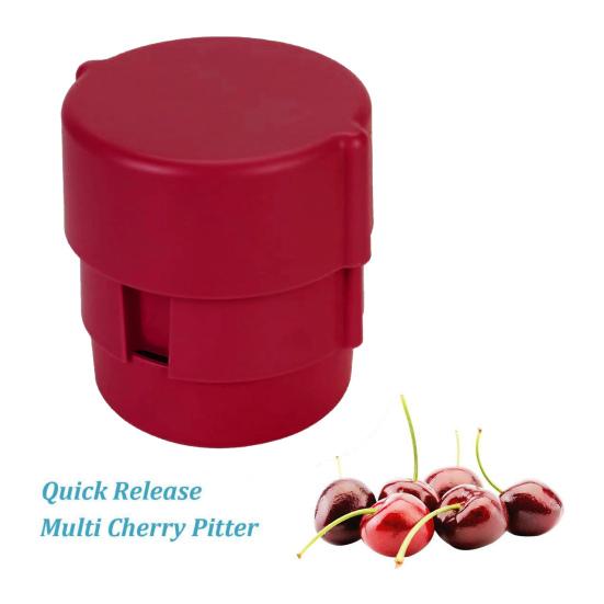Cherry Pitter Tool Multi-Fruit Stone Remover for Cherries Olives Small Plums Efficient