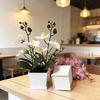 Butterfly Orchid Artificial Plant With Plastic Pot For Home Decor And Events