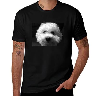 Üst giysisi – T-shirtler