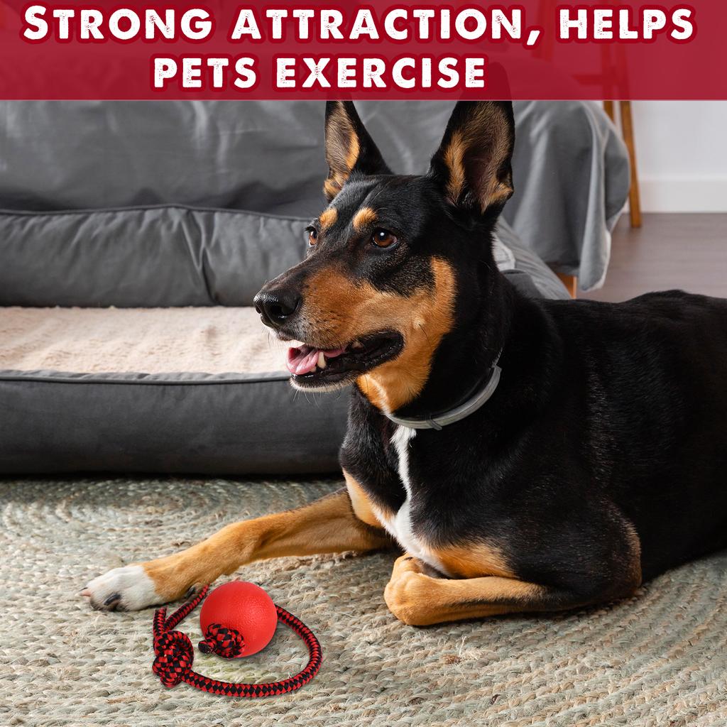 4 Pieces Dog Rope Ball Dog Ball On A Rope, Durable Elastic Solid Rubber Balls Interactive Rubber Ball Chew Toys For Small Medium