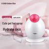 JINDAO KD233 Nano Hot Spray Facial Steamer CN Plug (adapter Included)