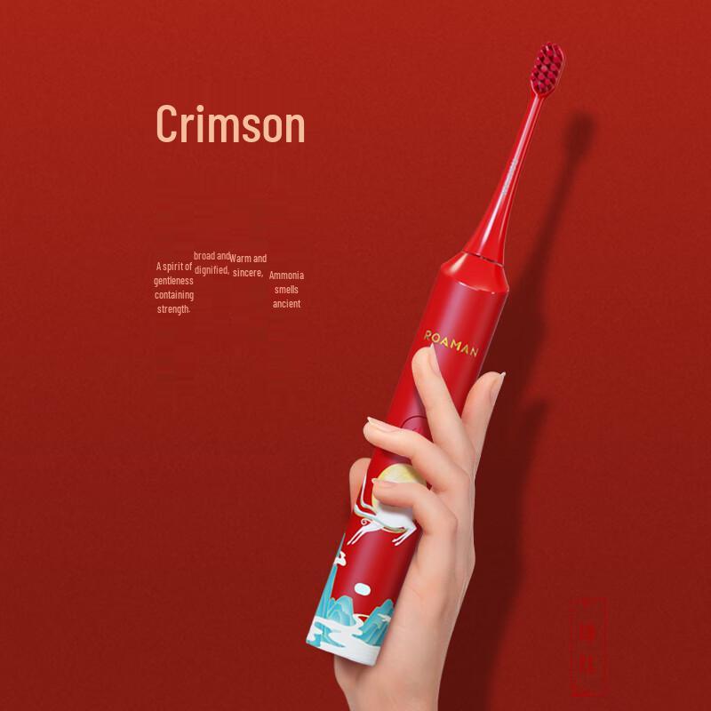 ROAMAN G10 Sonic Electric Toothbrush for Adults CN Plug (adapter Included)
