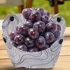 New Lightweight Foldable Camping Tableware Multi-purpose Heat-resistant Dinner Plate Free Heat-resistant Coffee Filter Outdoor