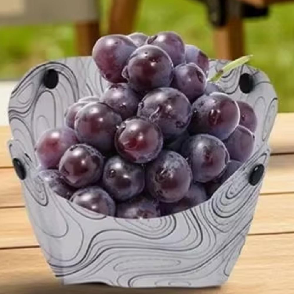 New Lightweight Foldable Camping Tableware Multi-purpose Heat-resistant Dinner Plate Free Heat-resistant Coffee Filter Outdoor